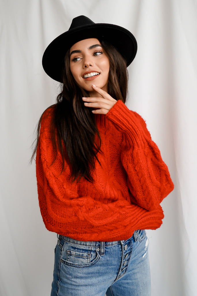 A cropped turtleneck long sleeve thick knit sweater.
